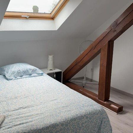 Apartamento Le Manoir De Cyrielle A 10 Min Du Centre De Strasbourg Bischheim Exterior foto